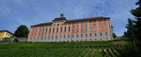 Free Boarding School Abuse Case Review