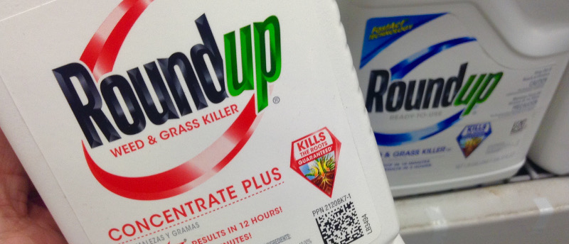 Second Roundup Trial