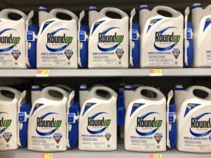 Is Roundup safe enough for grocery store shelves?